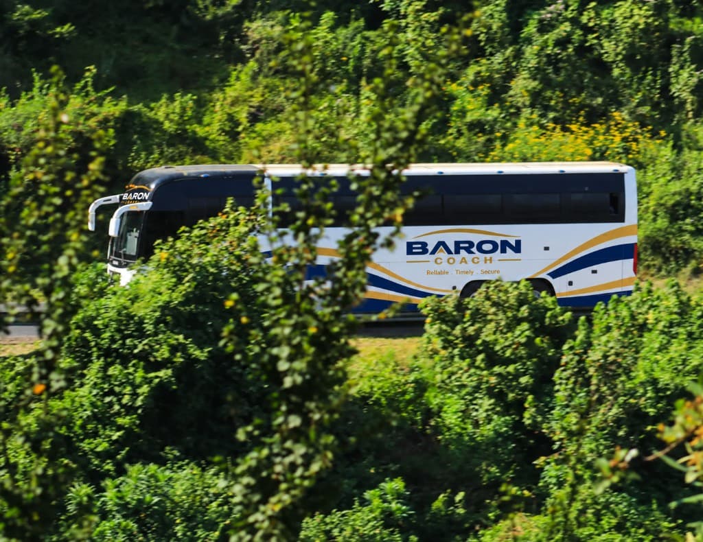 A Baron Coach bus passing through thick green trees.
